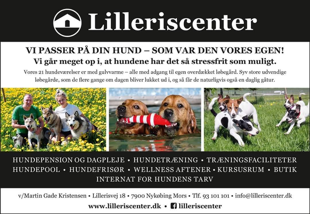 Lilleriscenter. Morsø Hunde - og Kattepension samt Dyreinternat v/Martin Gade Kristensen