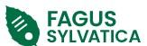 Fagus Sylvatica Bogføring og Administration v/ Kenneth Petersen