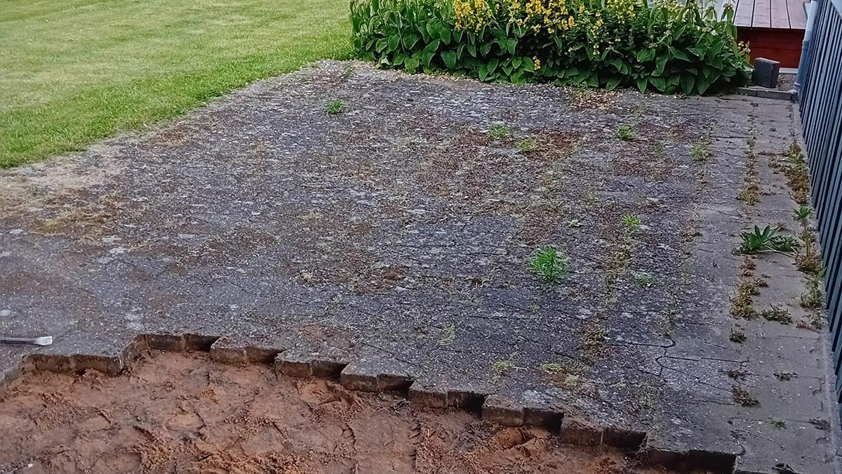 En grå flisebelagt gård med ukrudt og sand, omgivet af grønne planter og blomster.