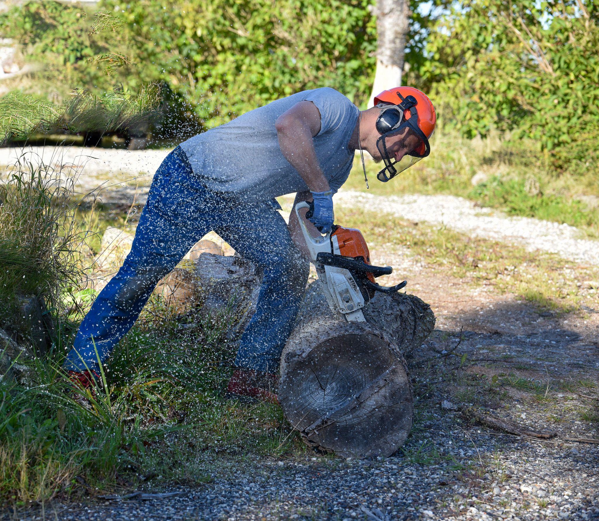 En mand i hjelm og beskyttelsesbriller saver et træstykke med en motorsav i en skov.
