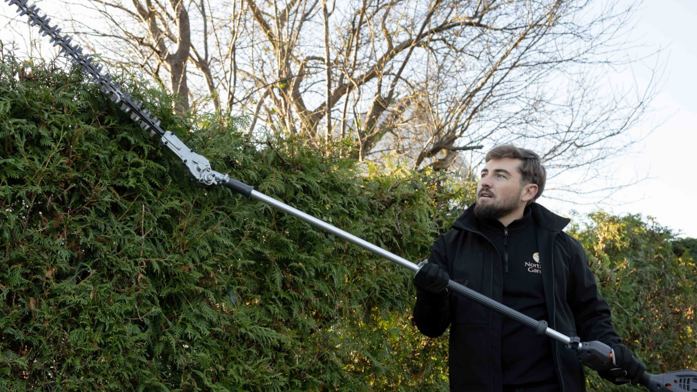 Mand klipper en hæk med en teleskopisk hækkeklipper i en have.