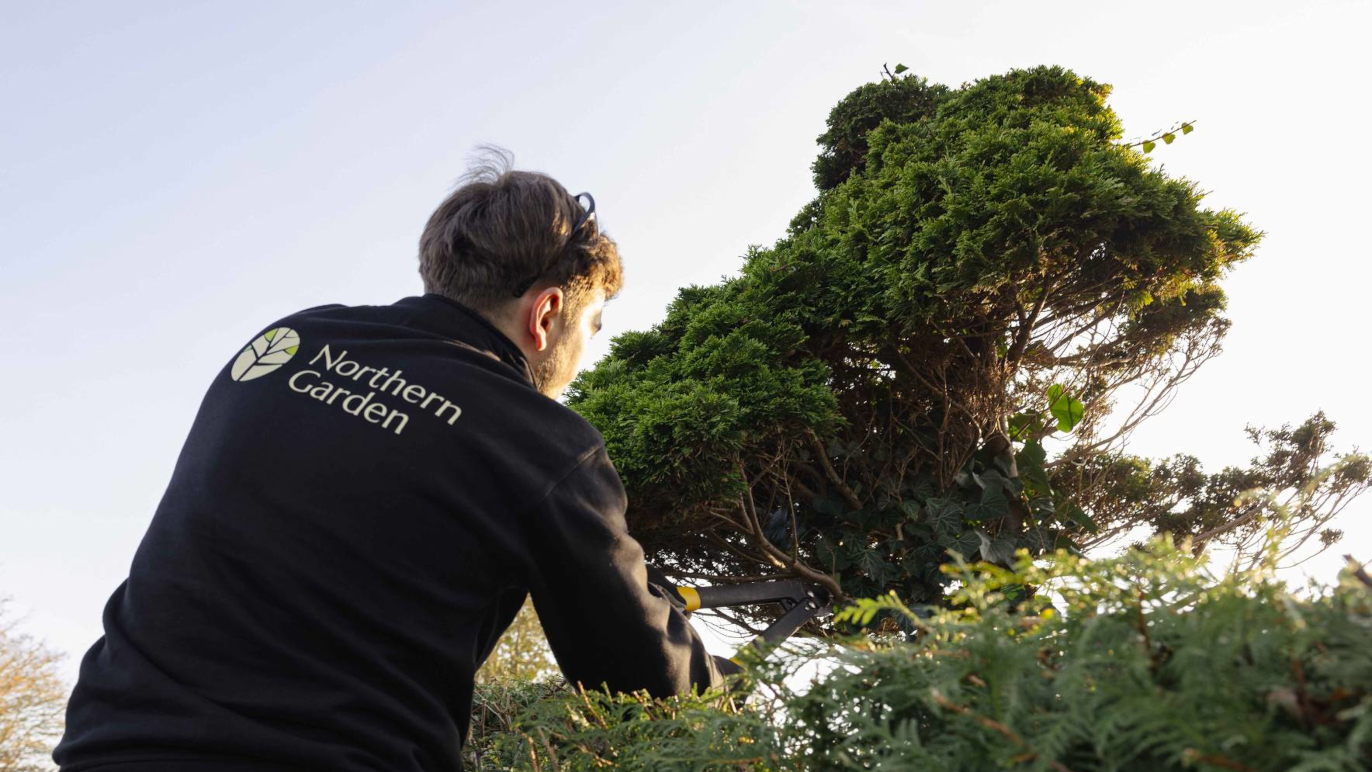 En gartner beskærer en busk i en have, iført en sort trøje med teksten "Northern Garden".