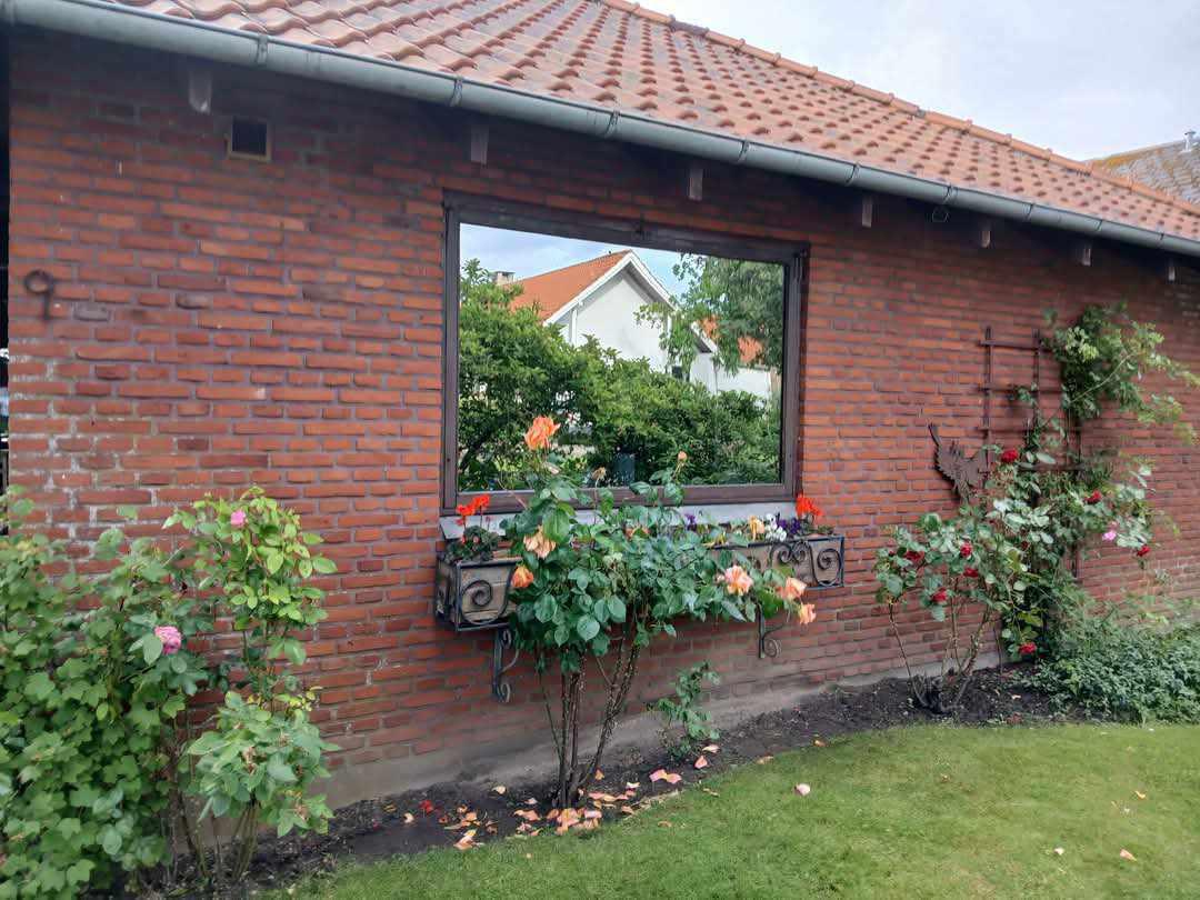Et hus med en stor vindue, omkranset af blomster og grønne planter i haven.