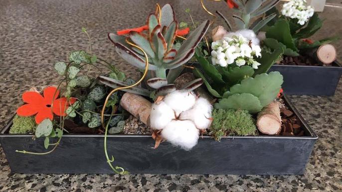 En dekorativ plantekasse med sukkulenter, blomster, bomuldsbolde og grønne planter på en grå overflade.
