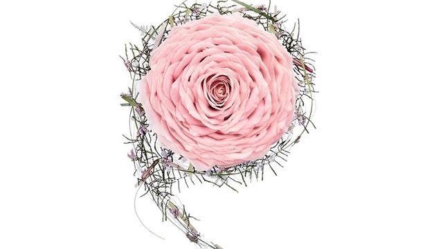 En smuk lyserød rose med grønne blade, arrangeret i en spiralformet komposition.