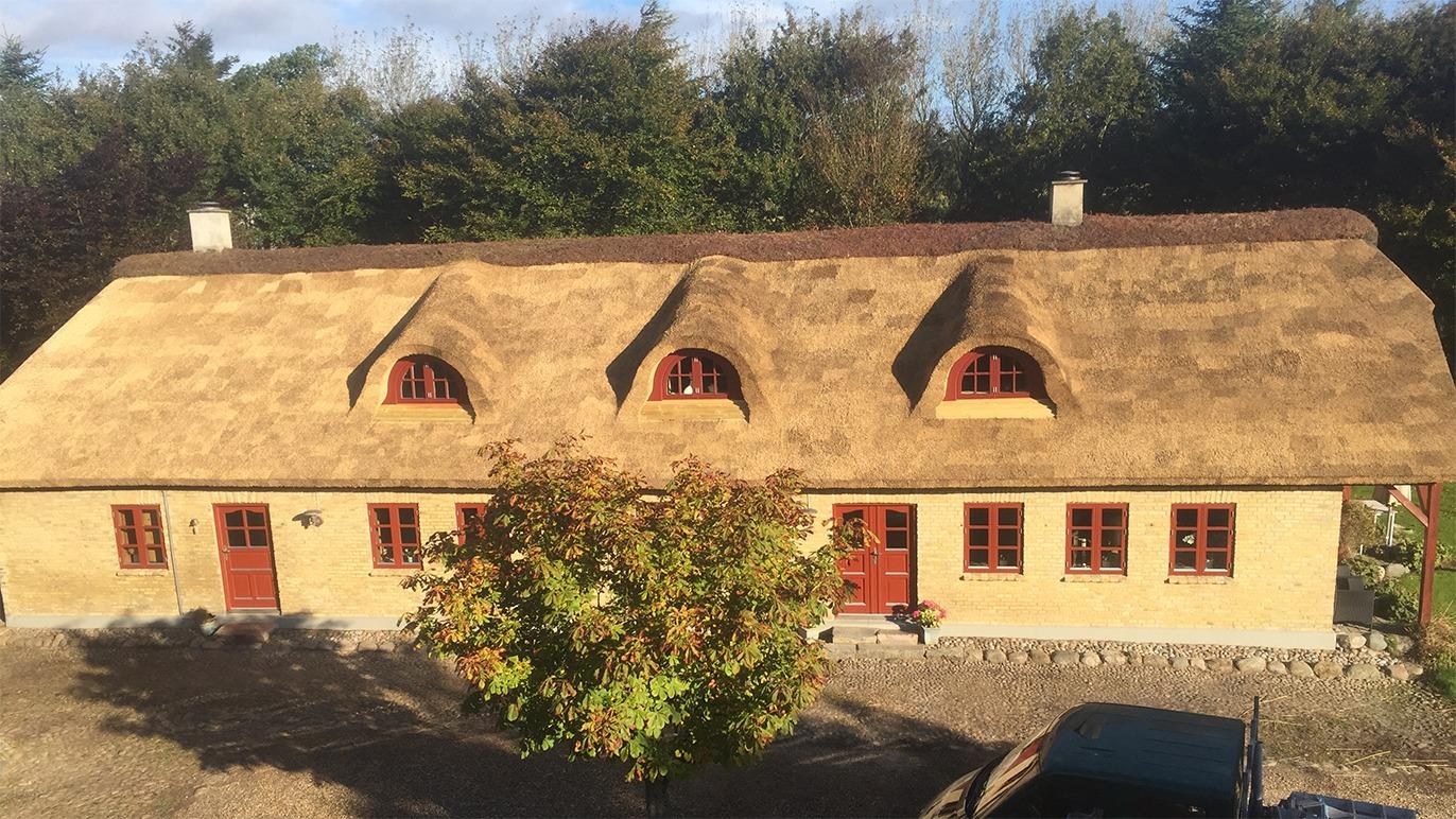 Et stråtækt hus med røde vinduer og en stor træ i forgrunden, omgivet af grønne træer.