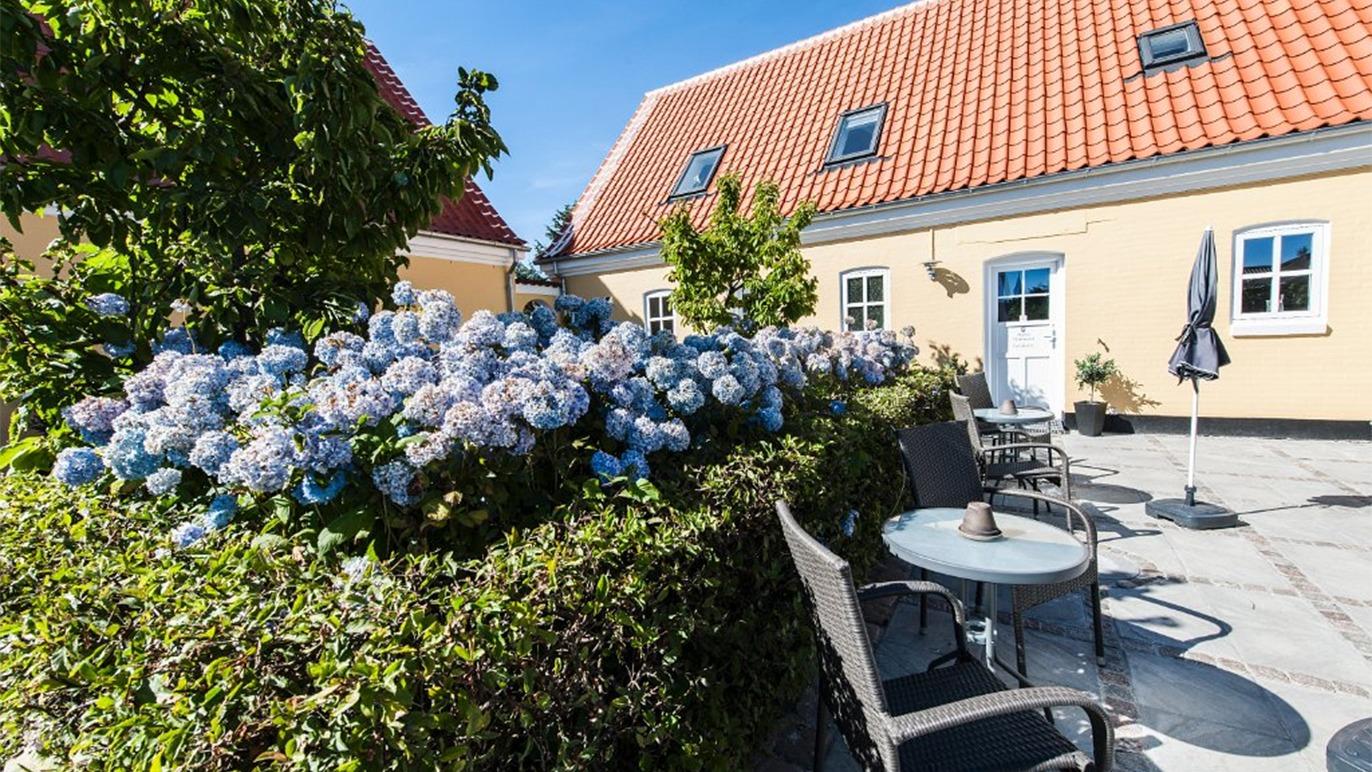En solrig gårdhave med blå hortensiaer, borde og stole, samt en bygning med rødt tag og vinduer.
