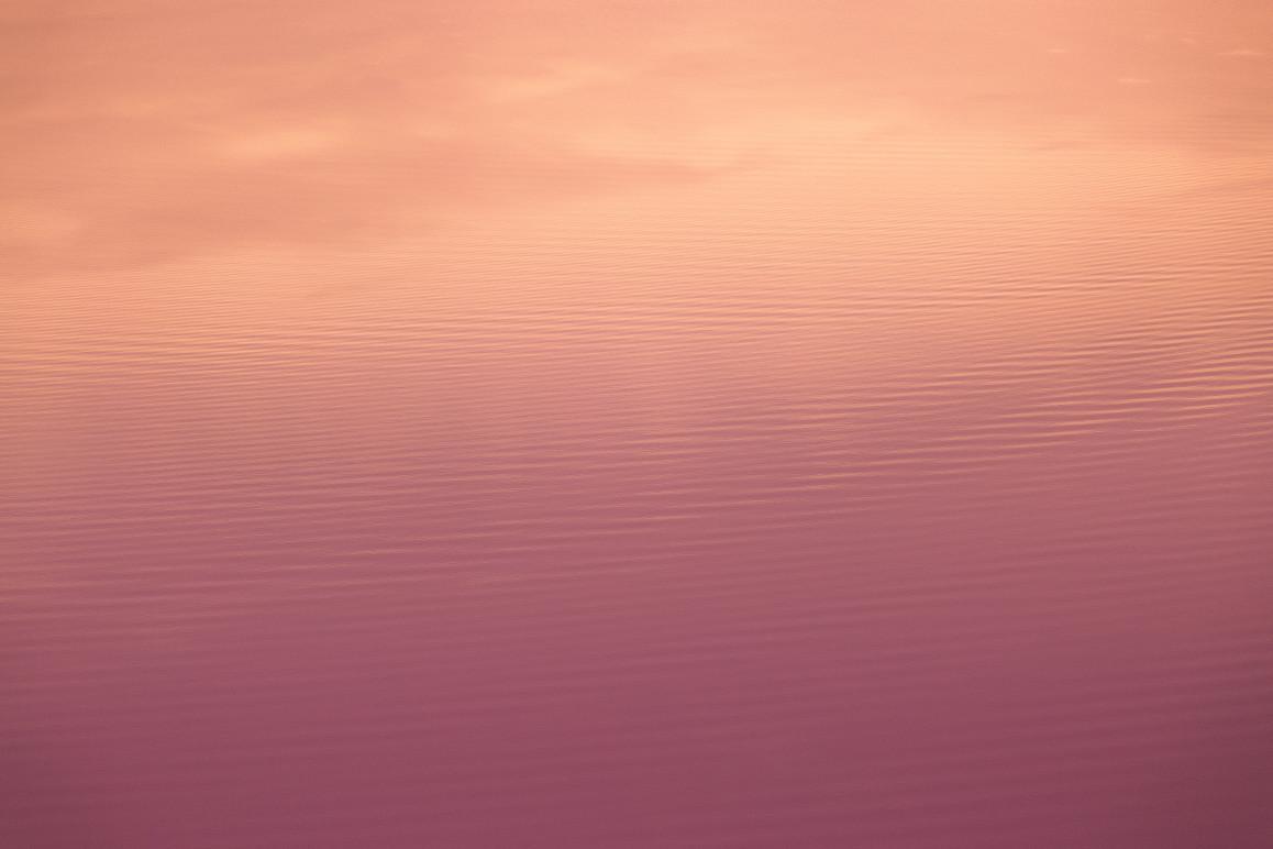 Rosa og lilla bølger på vandets overflade ved solnedgang, der skaber et beroligende mønster.