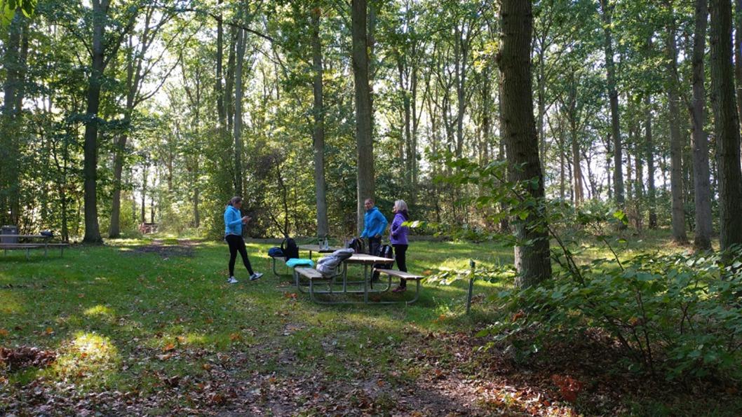 Fire personer i blå trøjer står ved et picnicbord i en skov med grønne træer og sollys.