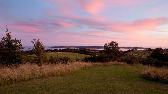 En smuk solnedgang over en grøn eng med træer og udsigt til vandet i baggrunden.