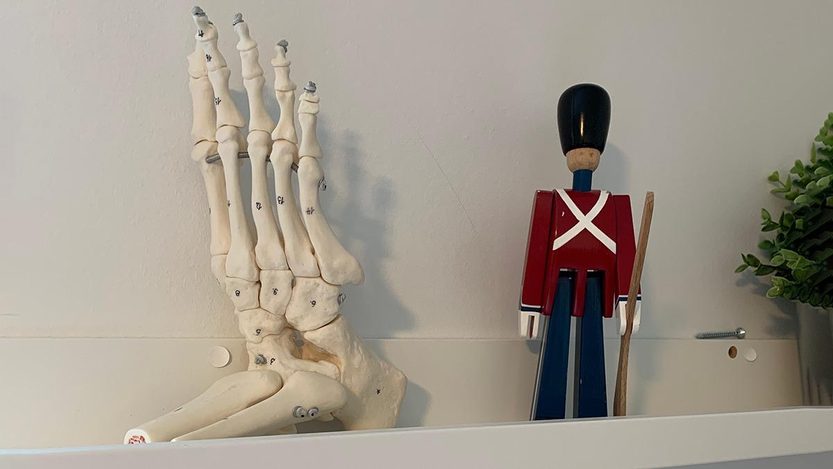 En anatomisk håndmodel og en farverig soldatfigur står på en hylde ved siden af en grøn plante.