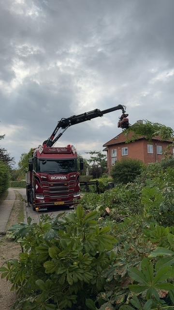 En stor kranbil står på en grusvej og løfter grene fra en have nær et hus under en overskyet himmel.
