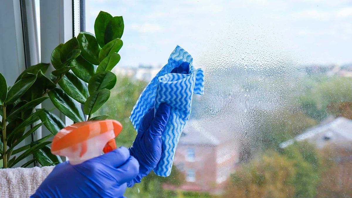 En person rengør et vindue med en sprayflaske og en blå klud, mens der er grønne planter i baggrunden.