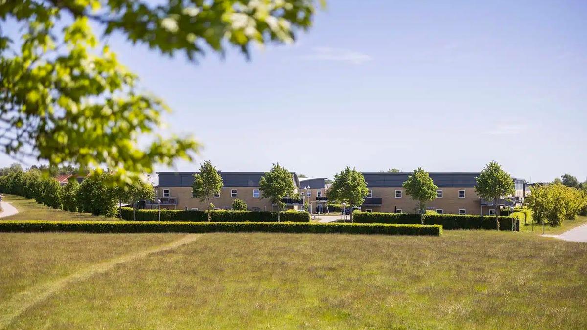 Udsigt over et boligområde med grå huse og grønne træer under en blå himmel.
