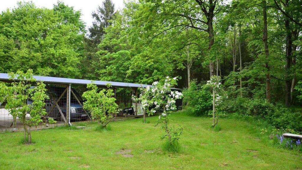 En grøn have med blomstrende træer og en carport i skoven.