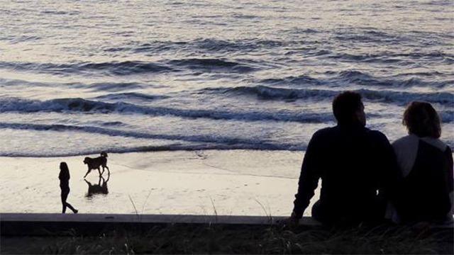 Et par sidder på stranden og ser ud over havet, mens en hund og en person går langs vandkanten.