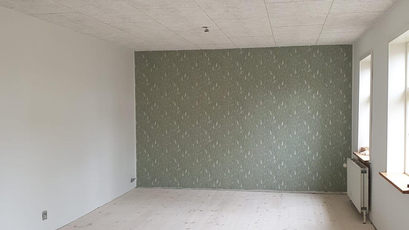 Stue med grøn væg og vinduer, der giver naturligt lys, samt en lys, neutral farve på de øvrige vægge.