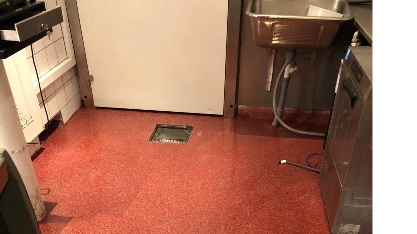 Køkken med rød linoleumsgulv, vask og hvidt køleskab i baggrunden.