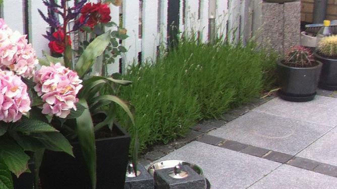 Blomster i potter ved en hvid plankevæg med grønne græsser og fliser i en have.