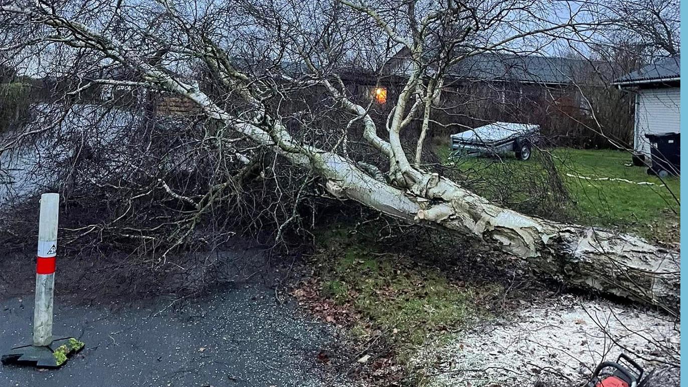 Et væltet træ ligger på en vej, med en garage og en båd i baggrunden. Mørkt vejr og skyer ses.