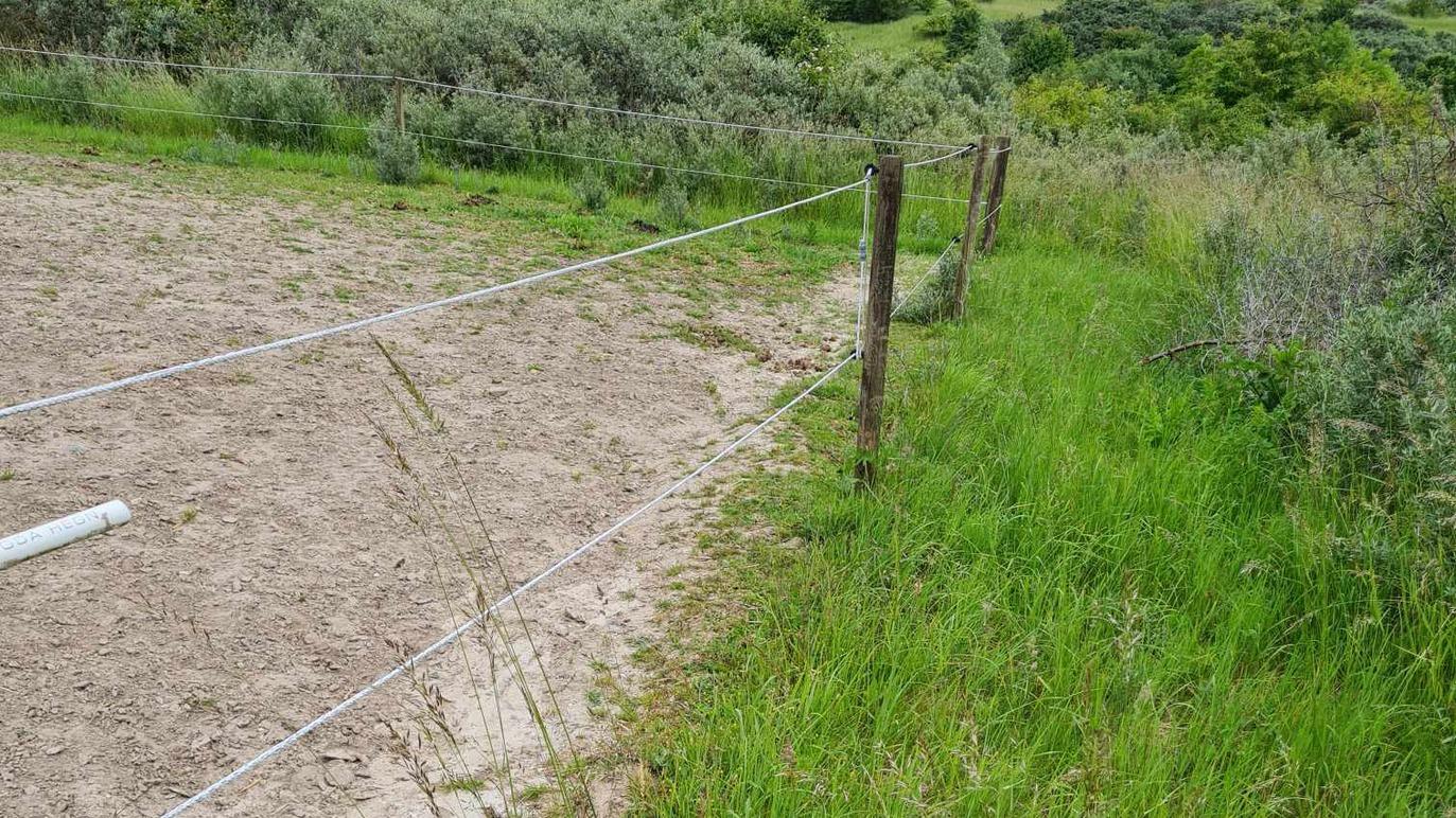 Et græsset område med en sandbane og en træhegn, der er afskærmet med snore.