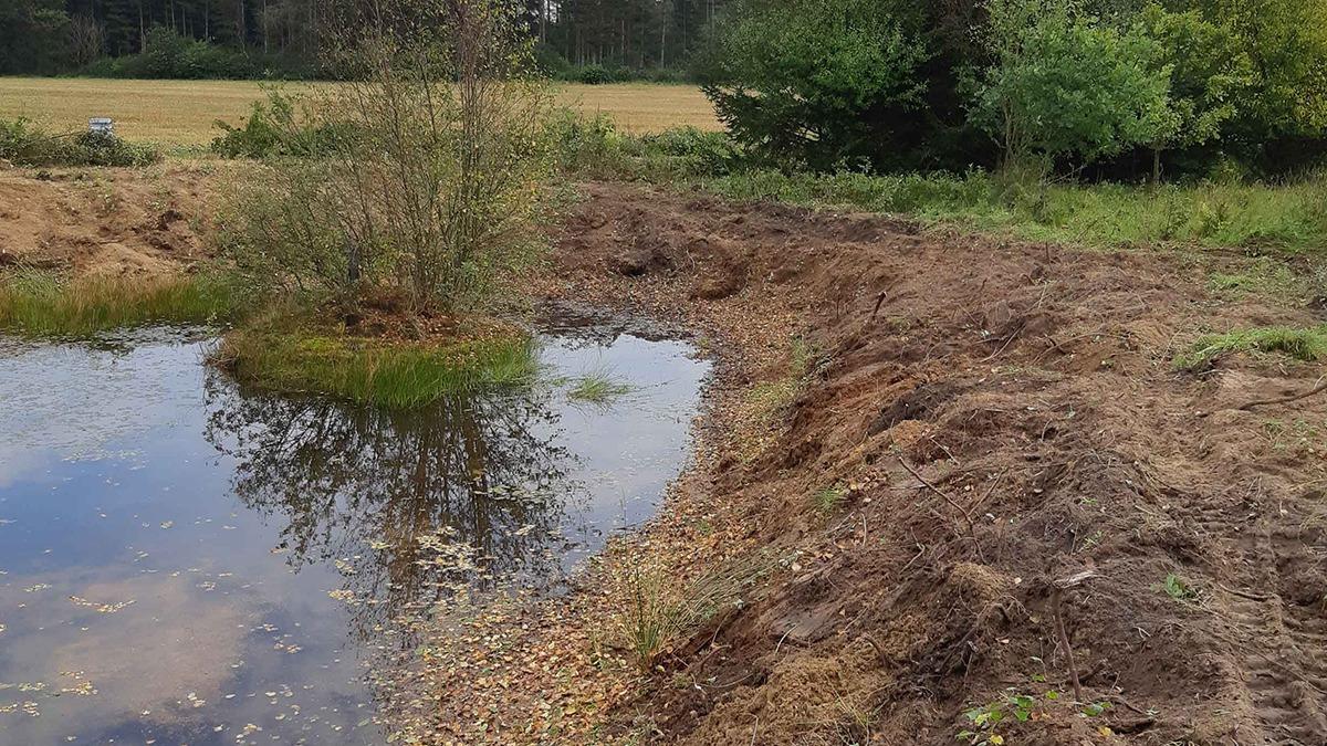 En grusomkransning omkring en lille sø med en ø, omgivet af grønne planter og et åbent landskab.