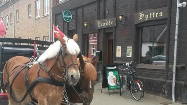 To heste med flag står foran en bygning med skiltet "Hyrdehuset" og en cykel ved siden af.