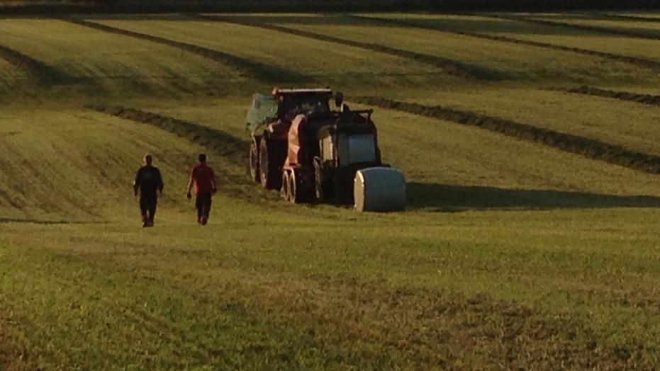 To personer går på en mark, mens en traktor presser halmballer i baggrunden under solnedgang.
