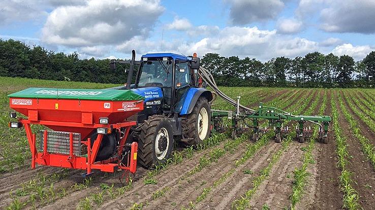 Traktor med såmaskine arbejder i en mark med rækker af nyplantede afgrøder under en skyet himmel.