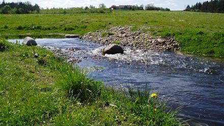 En lille strøm flyder gennem en grøn eng med sten og græs langs bredden.