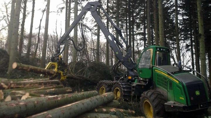 En skovmaskine arbejder i en skov, mens den håndterer træstammer med en kran.