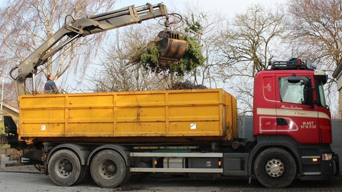 Lastbil med kran, der løfter en stor plante ind i en gul container. Træer og grene er synlige omkring.