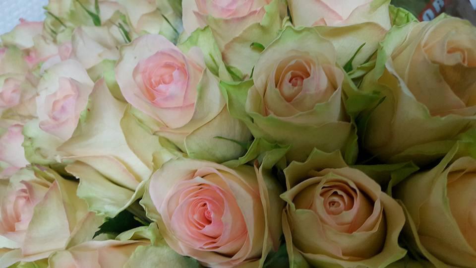 Helles Blomster 3
