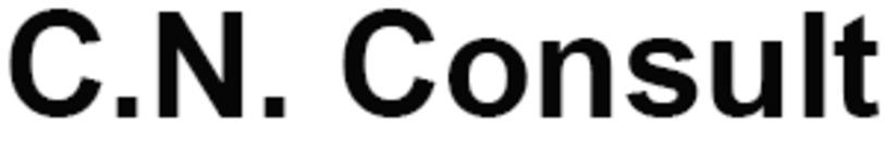 C.N. Consult v/Connie Nollin
