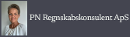 PN Regnskabskonsulent ApS