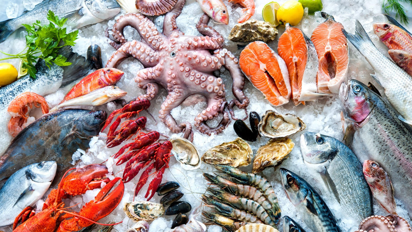 Fersk fisk og skaldyr på is, herunder laks, rejer, blæksprutte og muslinger, pyntet med citron og persille.