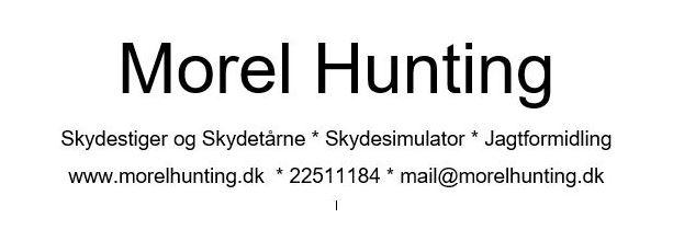 Morel Hunting