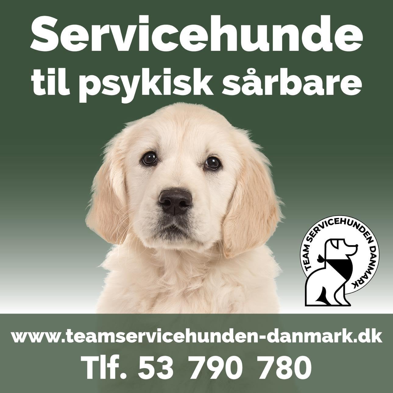 Team Servicehunden, Danmark ApS
