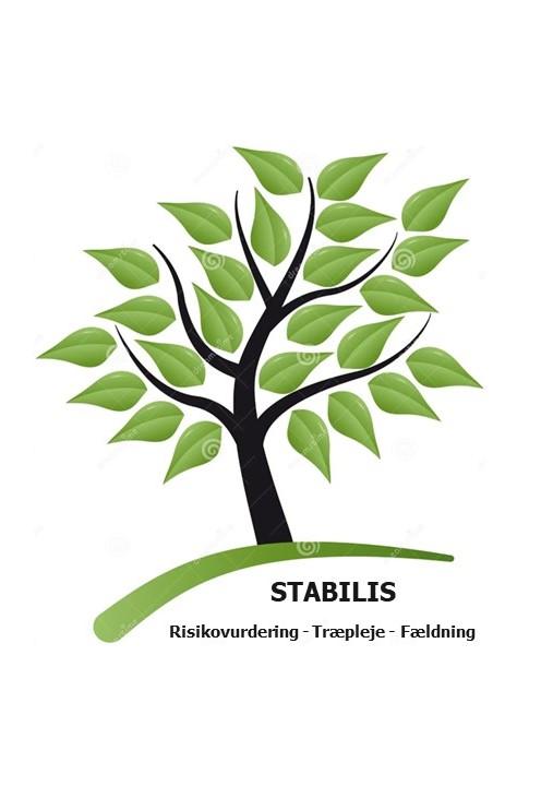 STABILIS