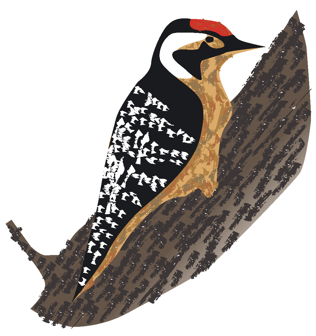Woodpecker'n Allan Larsen