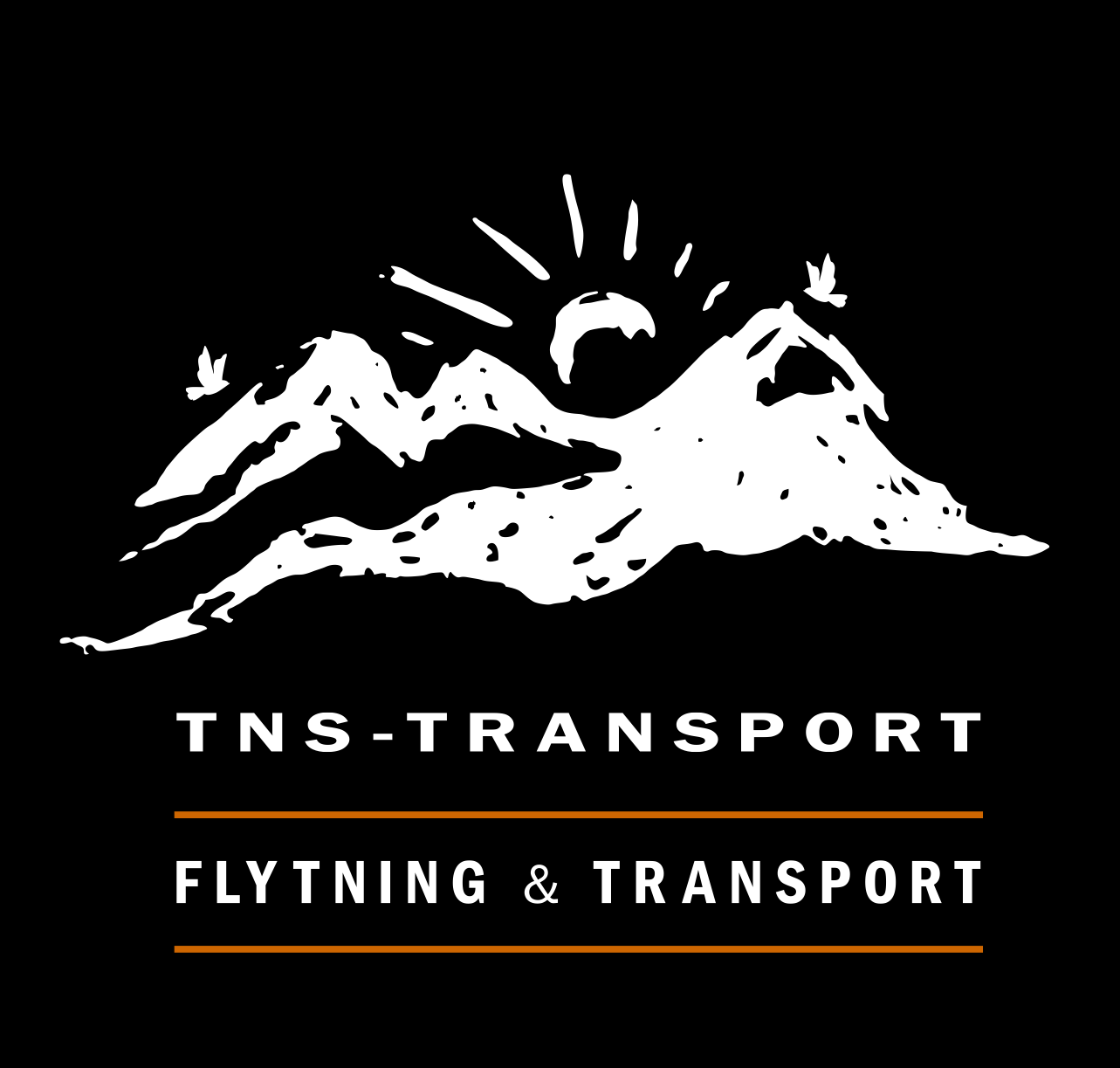 TNS-Transport