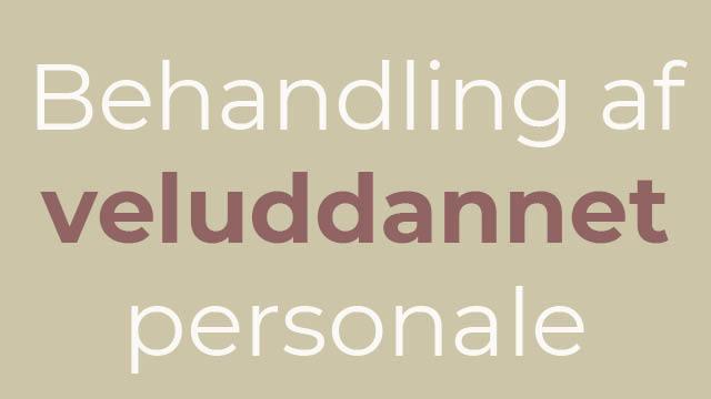 Behandling af veluddannet personale med fokus på professionel udvikling og kompetenceopbygning.