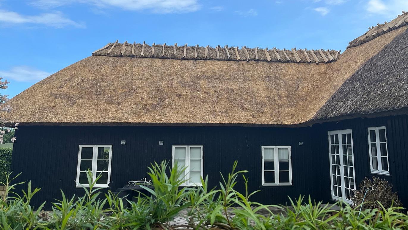 Et sort hus med stråtag og vinduer, omgivet af grønne planter under en blå himmel.
