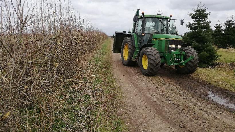 En grøn traktor kører på en grusvej omgivet af buske og træer på en overskyet dag.