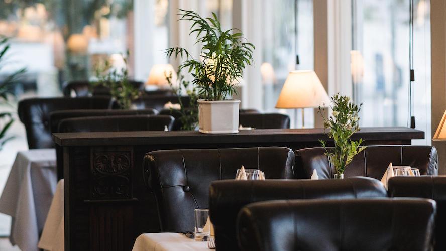 Indendørs restaurant med mørke læderstole, hvide duge og planter i potter på bordene.