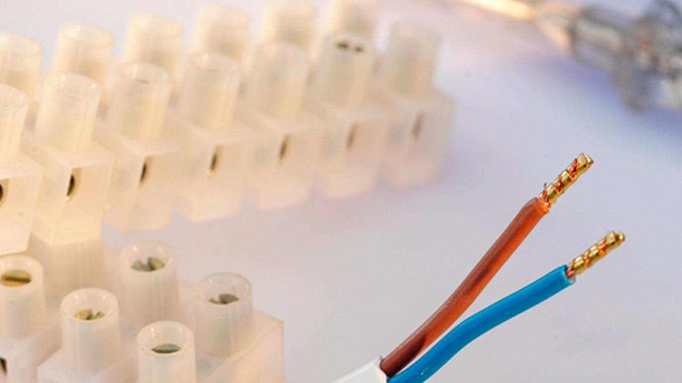 Nærbillede af elektriske ledninger med brune og blå isolering, der er tilsluttet en transparent terminalblok.