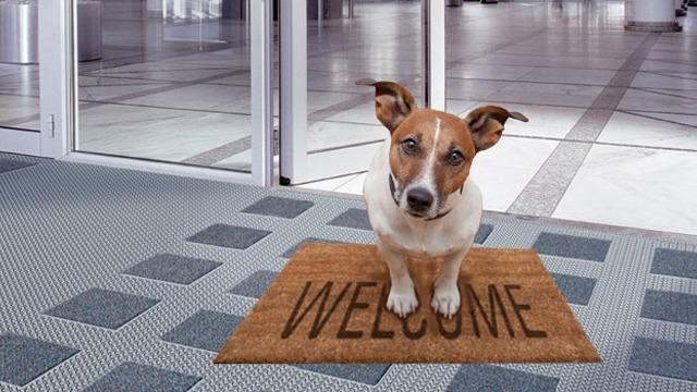 En hund sidder på en dørmåtte med teksten "WELCOME" i en indgang.