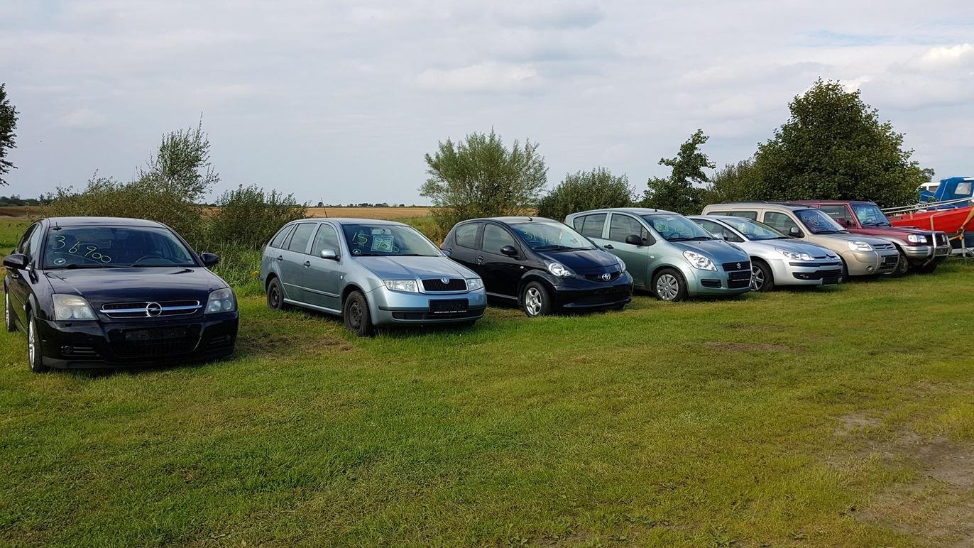 En række biler parkeret på en græsplæne med træer i baggrunden og en blå himmel.