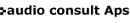 Audio Consult ApS