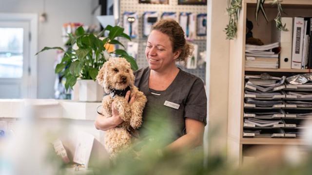 En kvinde holder en lille hund i armene, mens hun smiler i en dyreklinik med planter og papirer i baggrunden.